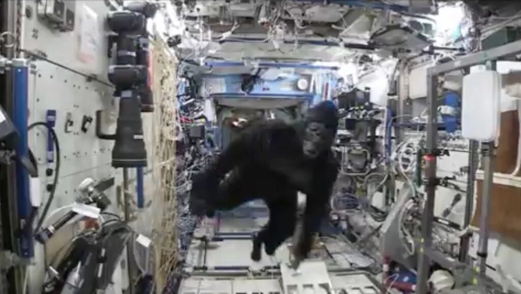 Астронавт, преследван от горила на международната космическа станция